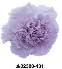 Знижка 50% Стабілізлована фіолетова гвоздика.