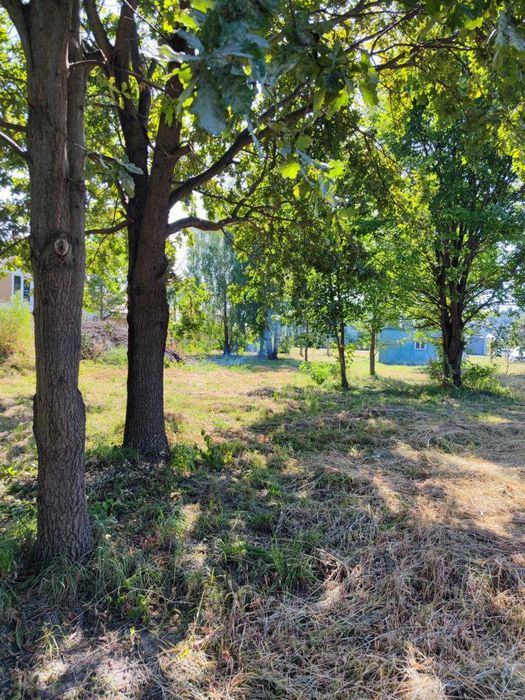 Участок Мархалівка 15 соток