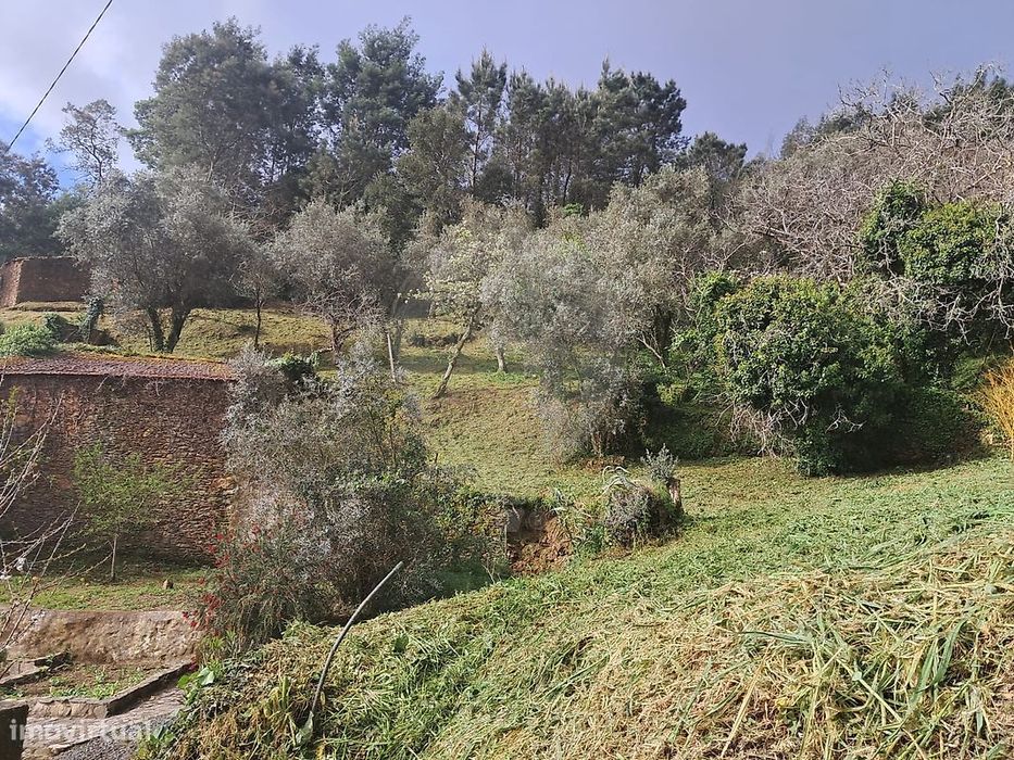 Terreno  para venda