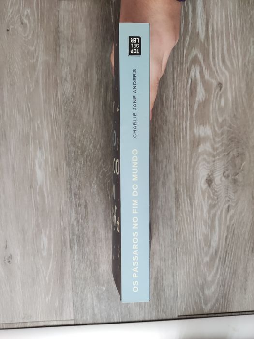 Livro "Os pássaros no fim do mundo" - Charlie Jane Anders