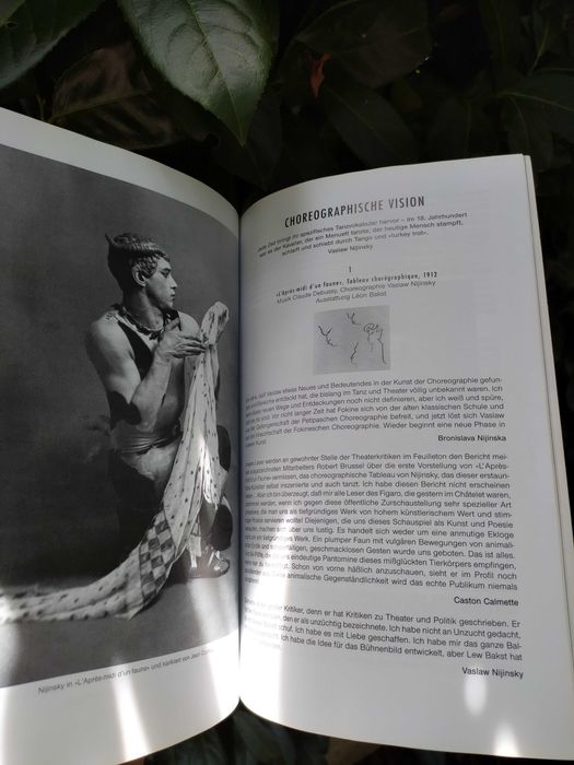 Nijinsky (John Neumeier)