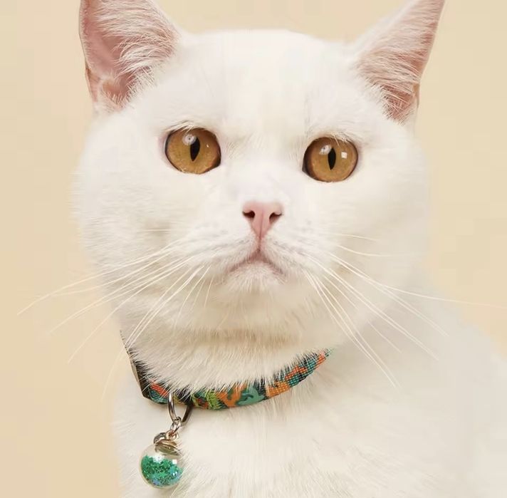 Нашийник для котів