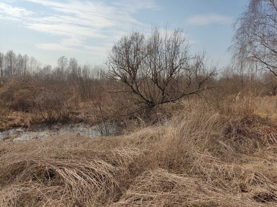 Масив земельних ділянок під ОСГ площею 16 га с. Старе
