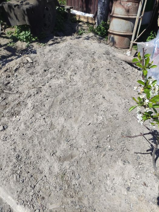 Попіл віддам безкоштовно