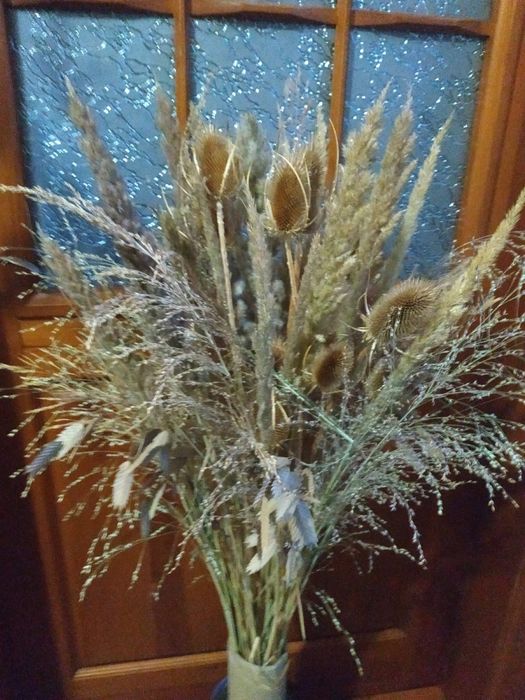 Букет сухоцвет Камыш тростник сухоцвет для декора