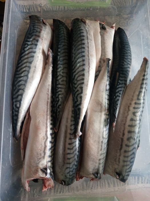 Скумбрія Атлантична Омега-3 у власном соку / томаті | Рибні консерви