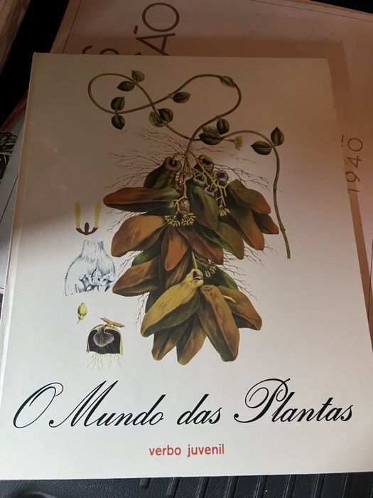 7 livros  enciclopedia verbo