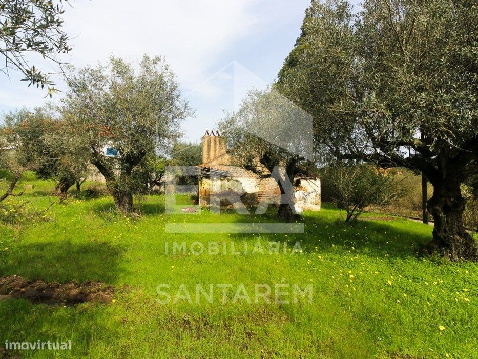 Terreno com cerca de 1 Hectare