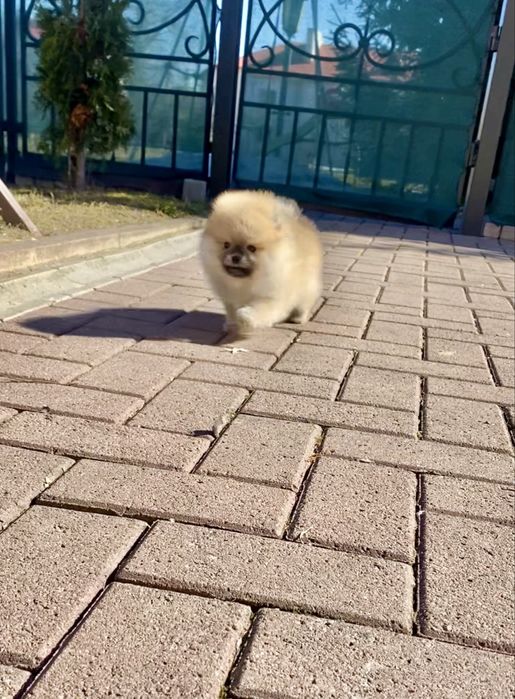 Ексклюзивна дівчинка!