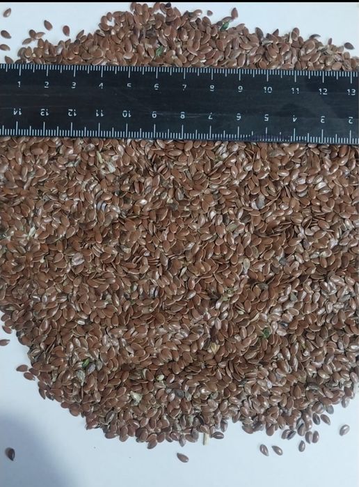 Siemie lniane len brązowy