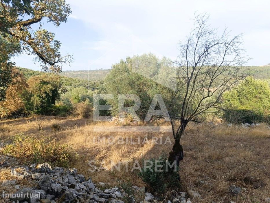 Moradia em Pedra com Vista Panorâmica