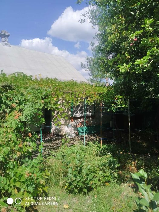 Продам будинок с. Климентове