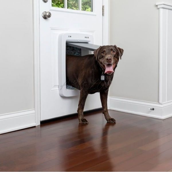 petsafe smart door connected duże