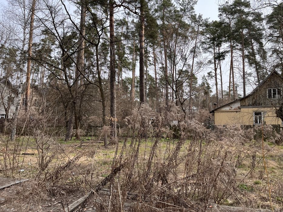 Ділянка  в Лісовій Бучі