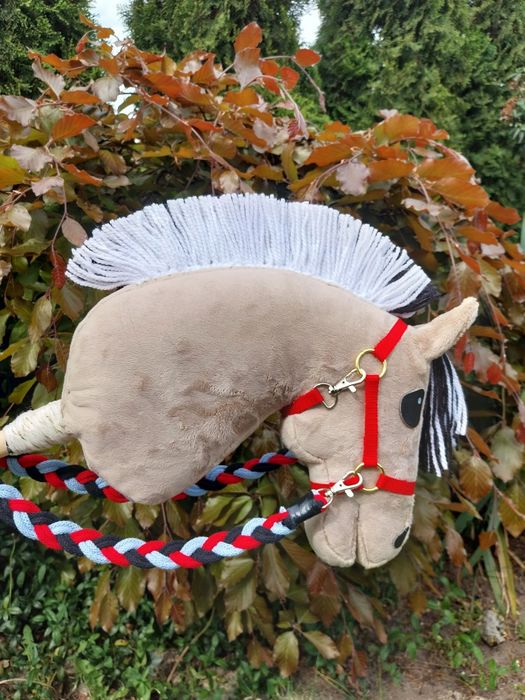 Konik na kiju fiord hobby horse
