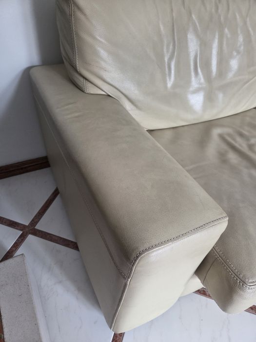 Dois Sofas de pele