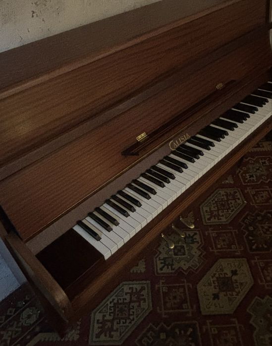 Pianino calisia sprawne