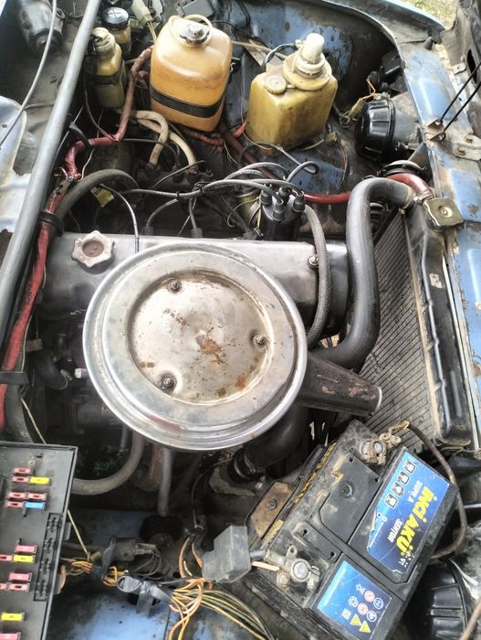 Отдам в добрі руки