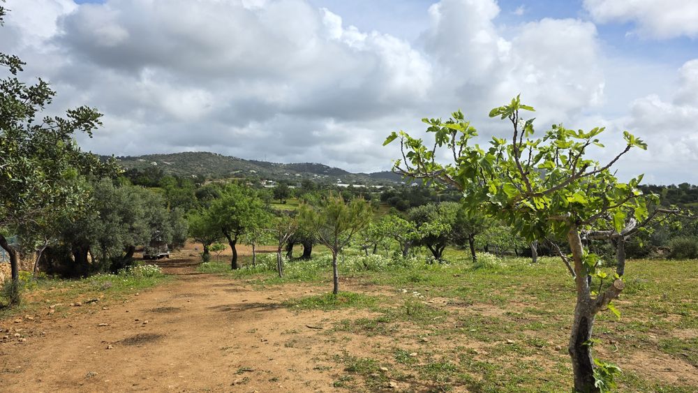 Terreno Rústico com Área Urbana – Estoi, Faro
Terreno rústico à venda