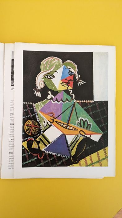 Livro sobre Picasso