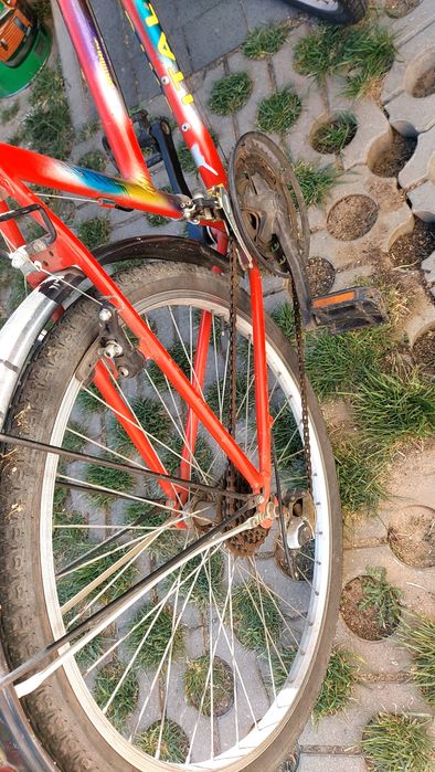 Rower damski Ital Bike