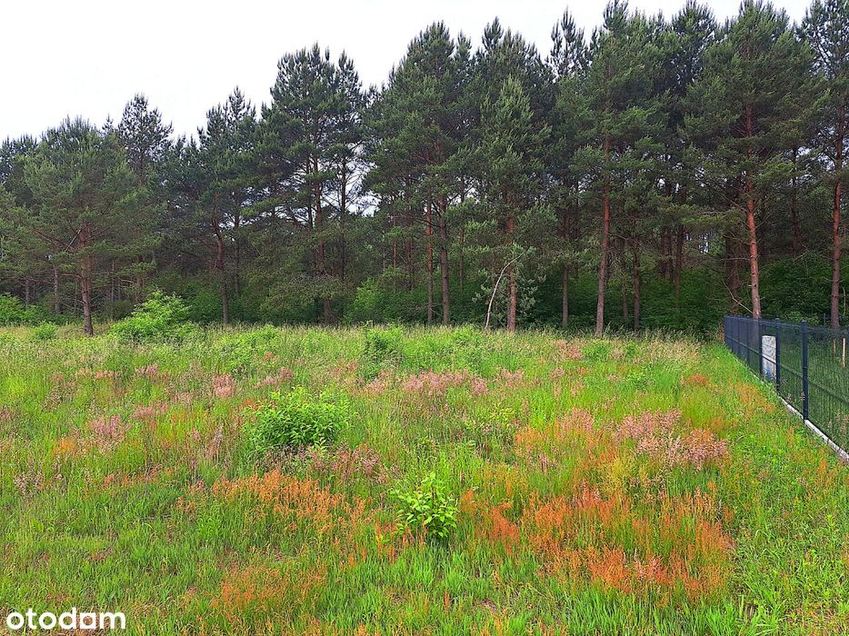 Działka 2200 m² Wieck 100m OD JEZIORA - Widok 5