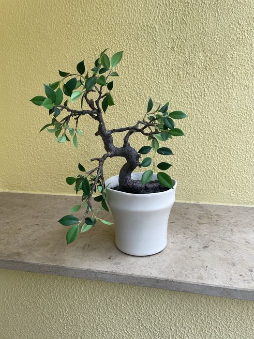 Vaso com planta decorativo