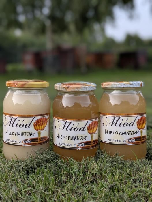 Miód wielokwiatowy