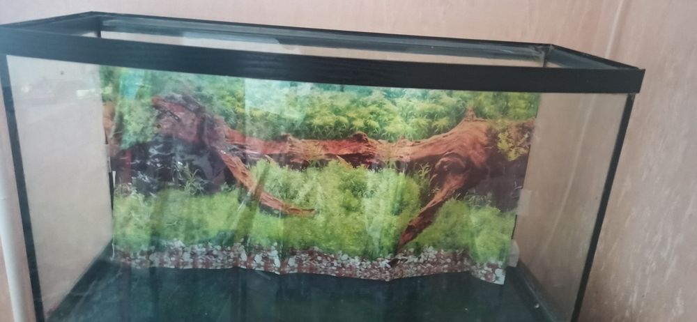 Продам акваріум на  80л