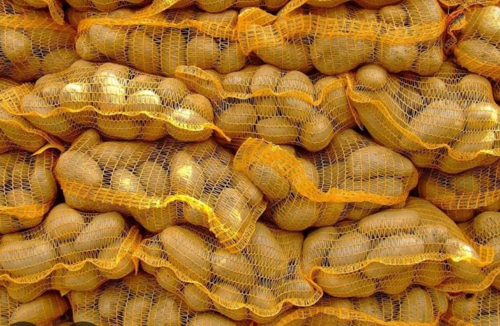 Ekologiczne ziemniaki przebierane ręcznie SORAYA