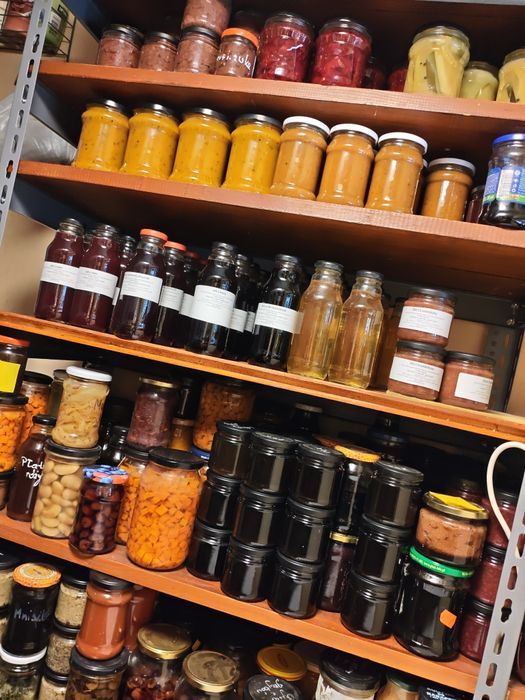 Zestaw przetworow domowych