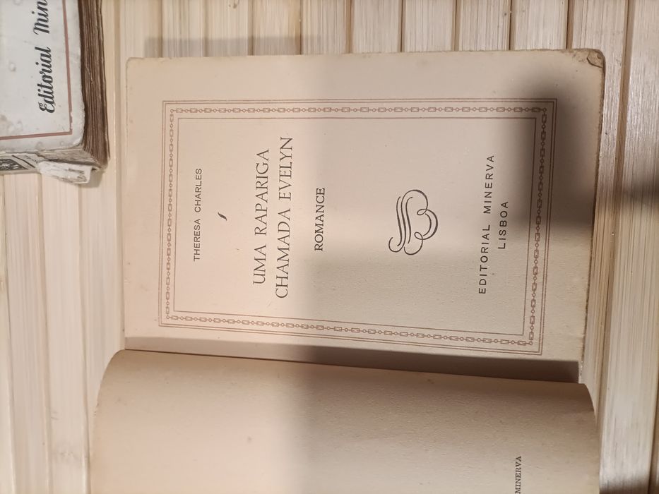 Lote 2 livros vintage