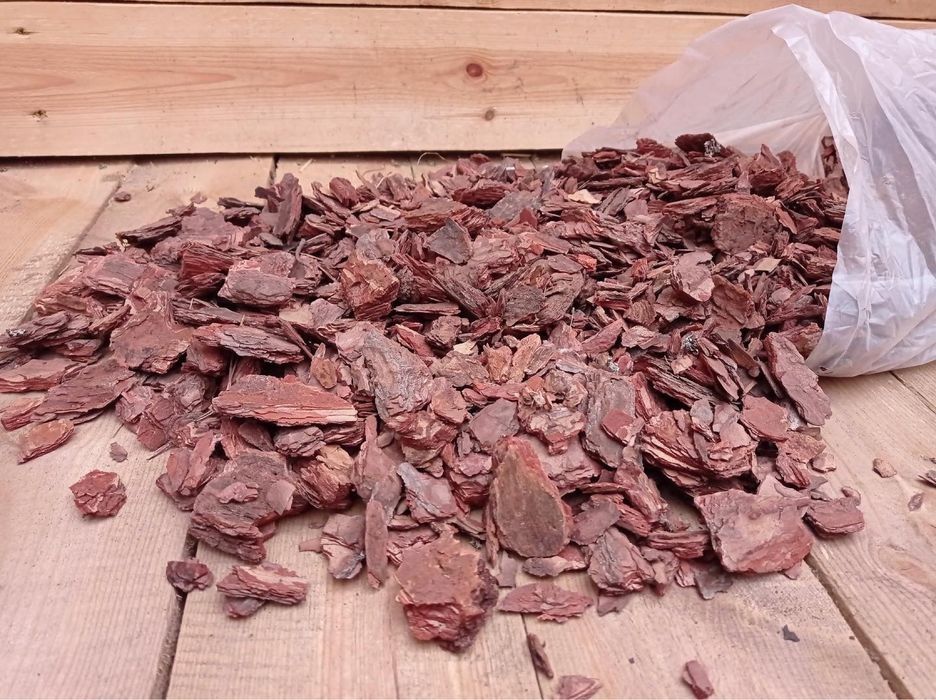 Соснова кора для вашого саду