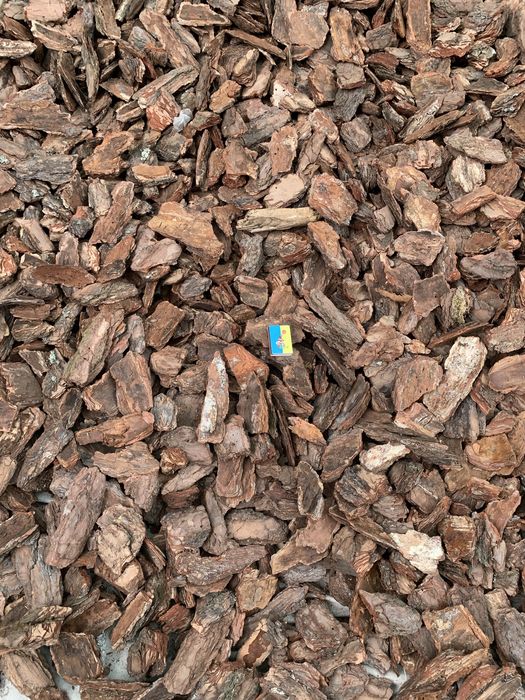 Кора соснова, мульча, соснові шишки