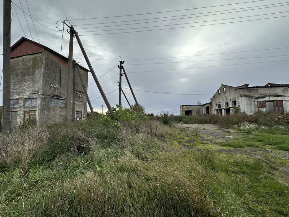 Продам ферму в с. Живачів від Власника, споруди 20,400м2, 16,1га землі