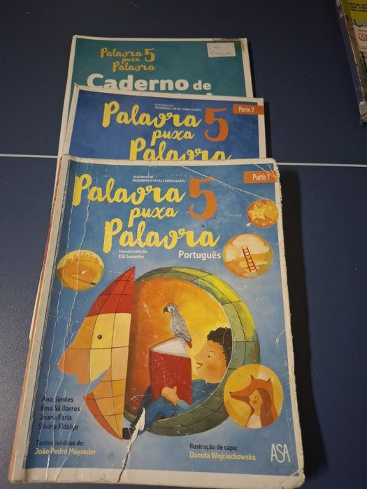 Varios livros escolares do 5a ano