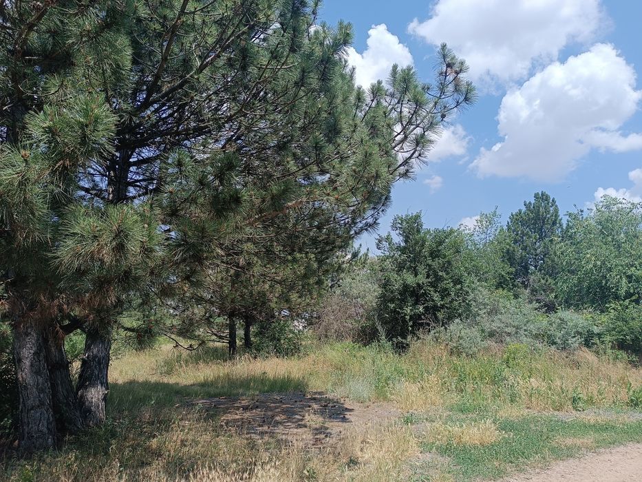 Срочная продажа г.Теплодар ,Одесская область ,25 км от Одессы