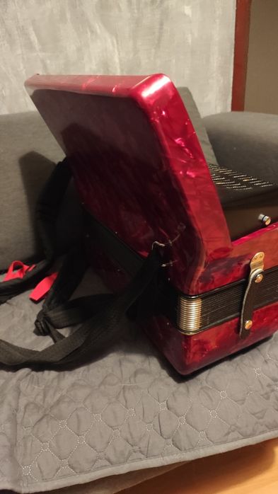 Vendo Acordeão HORNER