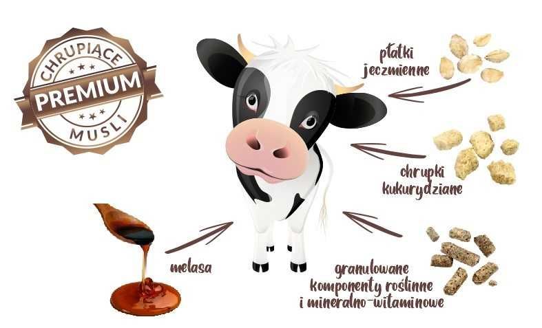 Chrupka dla cieląt musli pierwsza pasza