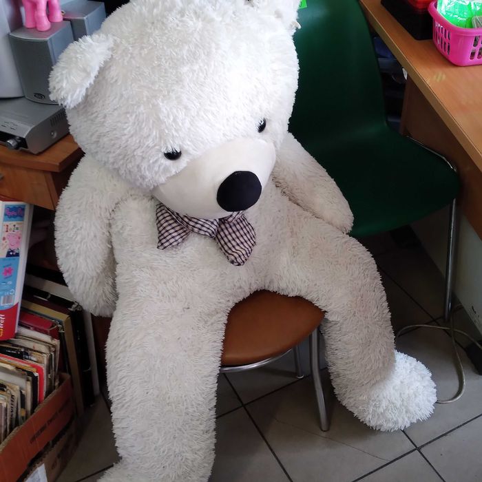 Ładny duży miś / Zachęcam do zakupu /