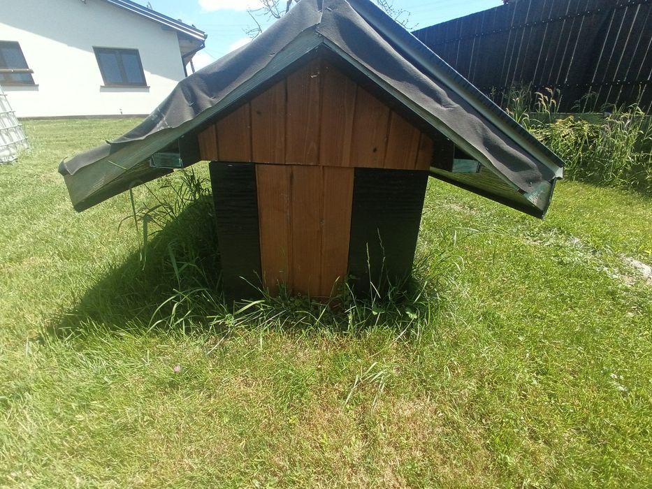 Buda dla psa do dokonczenia