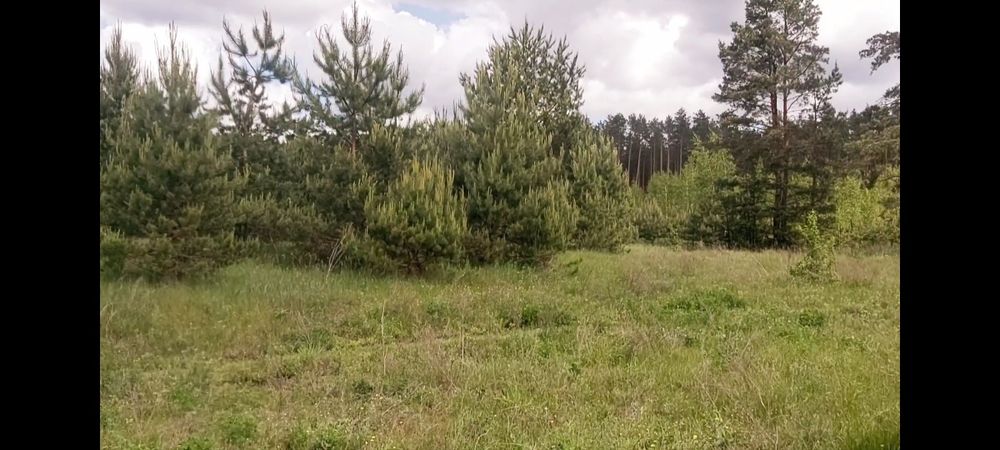 Ділянка біля лісу та Голубих озер.