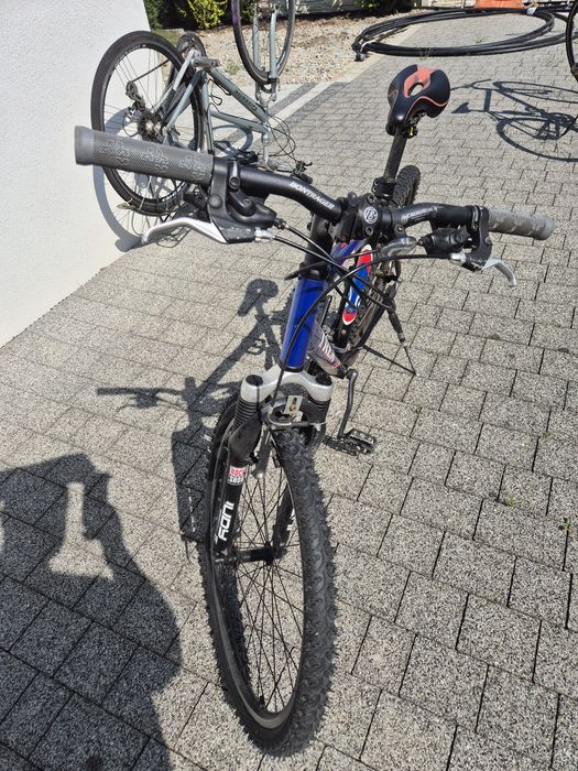 Rower TREK Stary Model