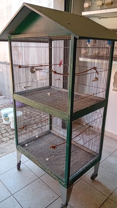 Viveiro duplo para Aves