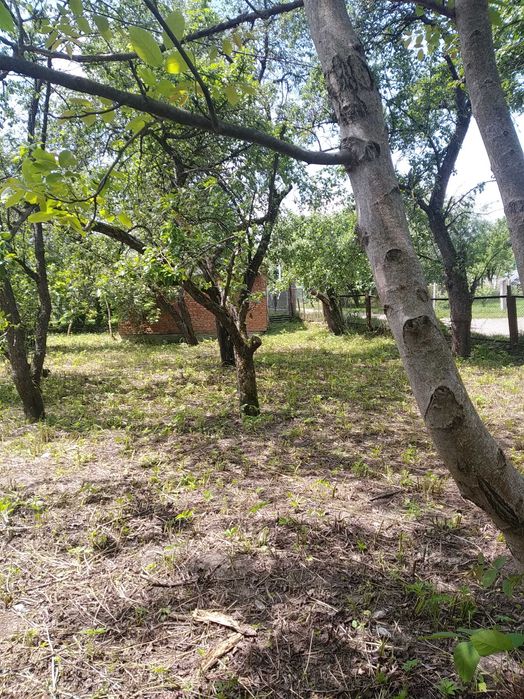 Нерухомість ( земля і будинок)