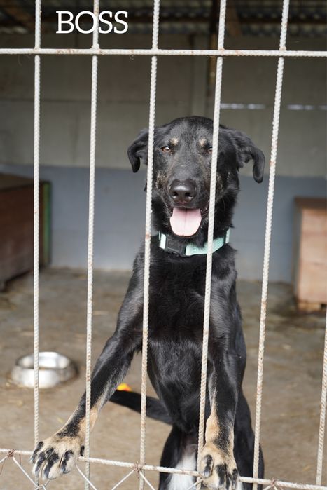 Nadal za kratami, gdzie jest moj domek?