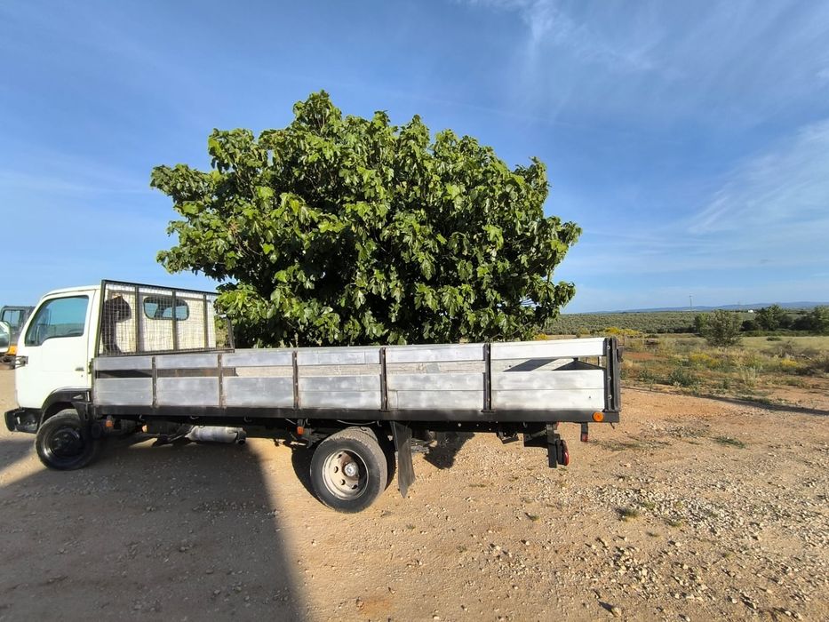 Nissan Cabstar 3.0 dCi (125 cv) – Rodado Duplo & Molas Reforçadas