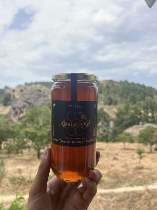 Mel natural multifloral