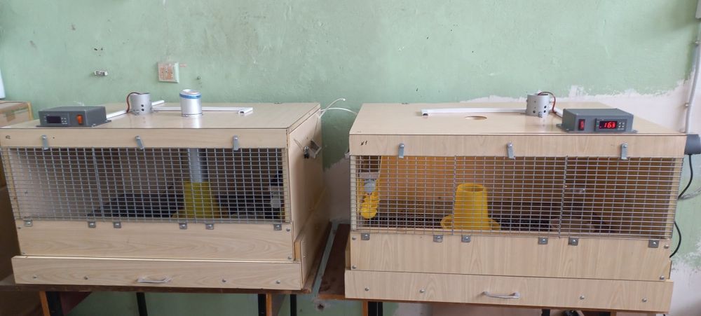 Продам брудер для птиці