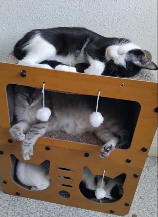 Когтеточка кошачий домик игровая 2 этажа